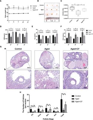 Cell-Free Fat Extract Improves Ovarian Function and Fertility in Mice With Advanced Age